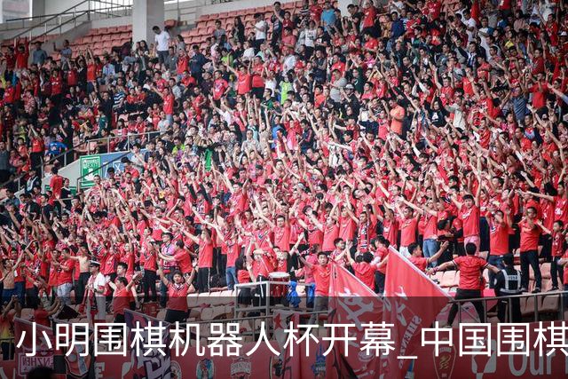 小明围棋机器人杯开幕 中国围棋的“家底”藏不住了